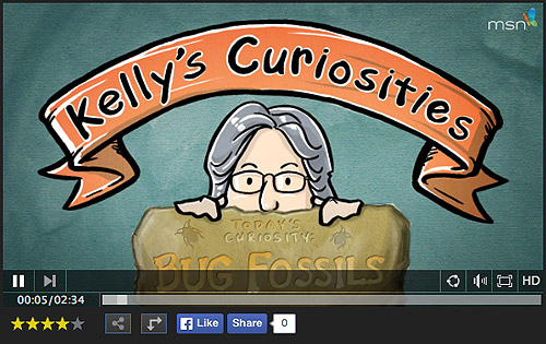 Kelly's Curiosities